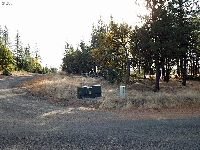 West Homestead Road, Unit LOT18 Goldendale, WA 98620 - Photo 4 of 16 Gallery Image 4