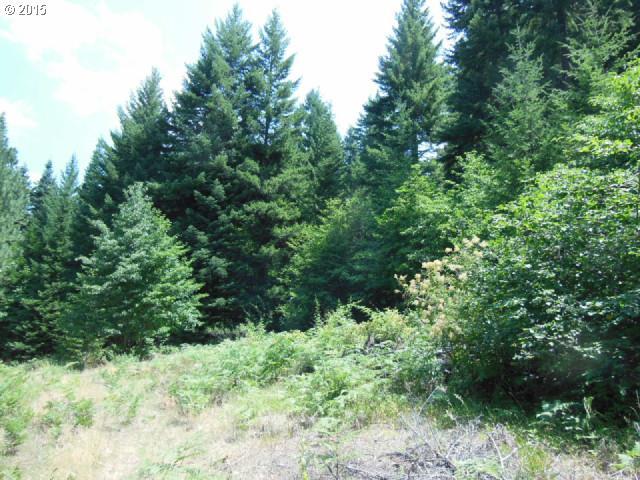 24 Strong Road Trout Lake, WA 98650 - Photo 2 of 10 Gallery Image 2