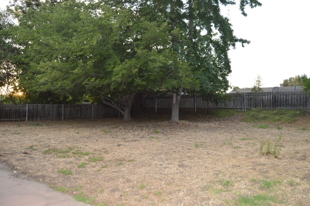 922 Buena Rosa Court Fallbrook, CA 92028 - Photo 2 of 23