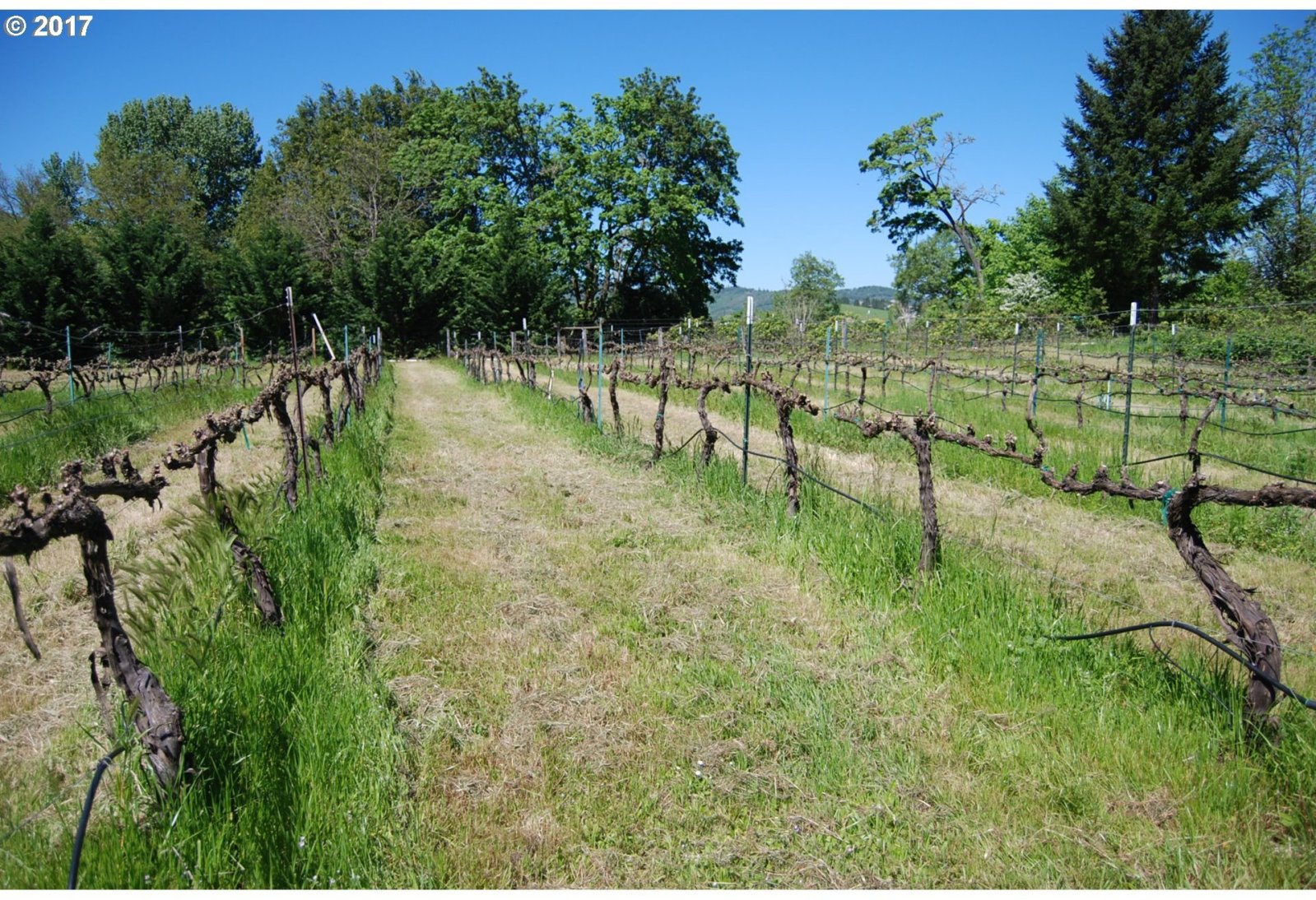 611 Helweg Road Winston, OR 97496 - Photo 21 of 32 Gallery Image 21