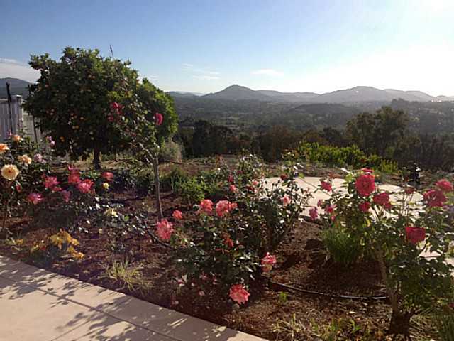 309 Trailview Road Encinitas, CA 92024 - Photo 23 of 25
