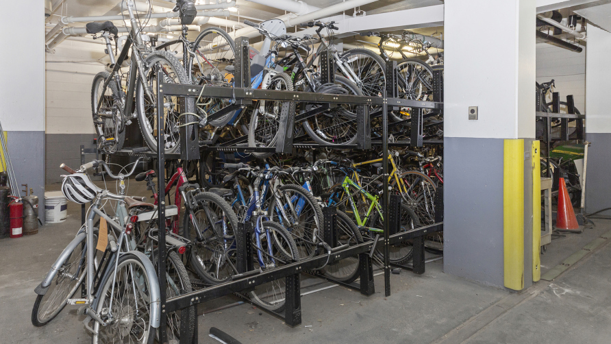 222 E Pearson St, Chicago, IL 60611 - Photo 7 of 12