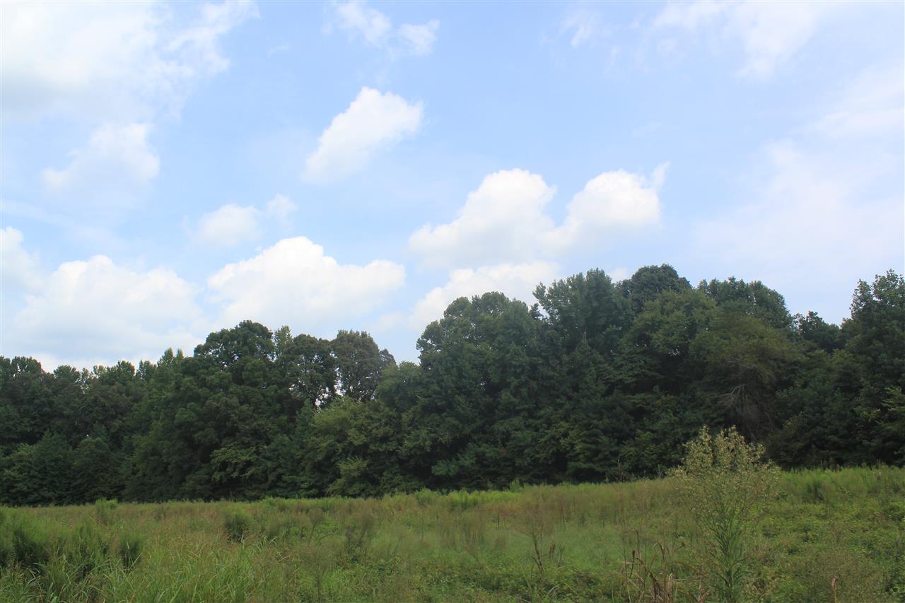 0 Robert Ford Road Waterford, MS 38685 - Photo 18 of 25