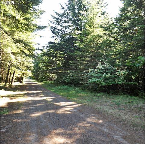 Moonshine Road Appleton, WA 98602 - Photo 4 of 8 Gallery Image 4