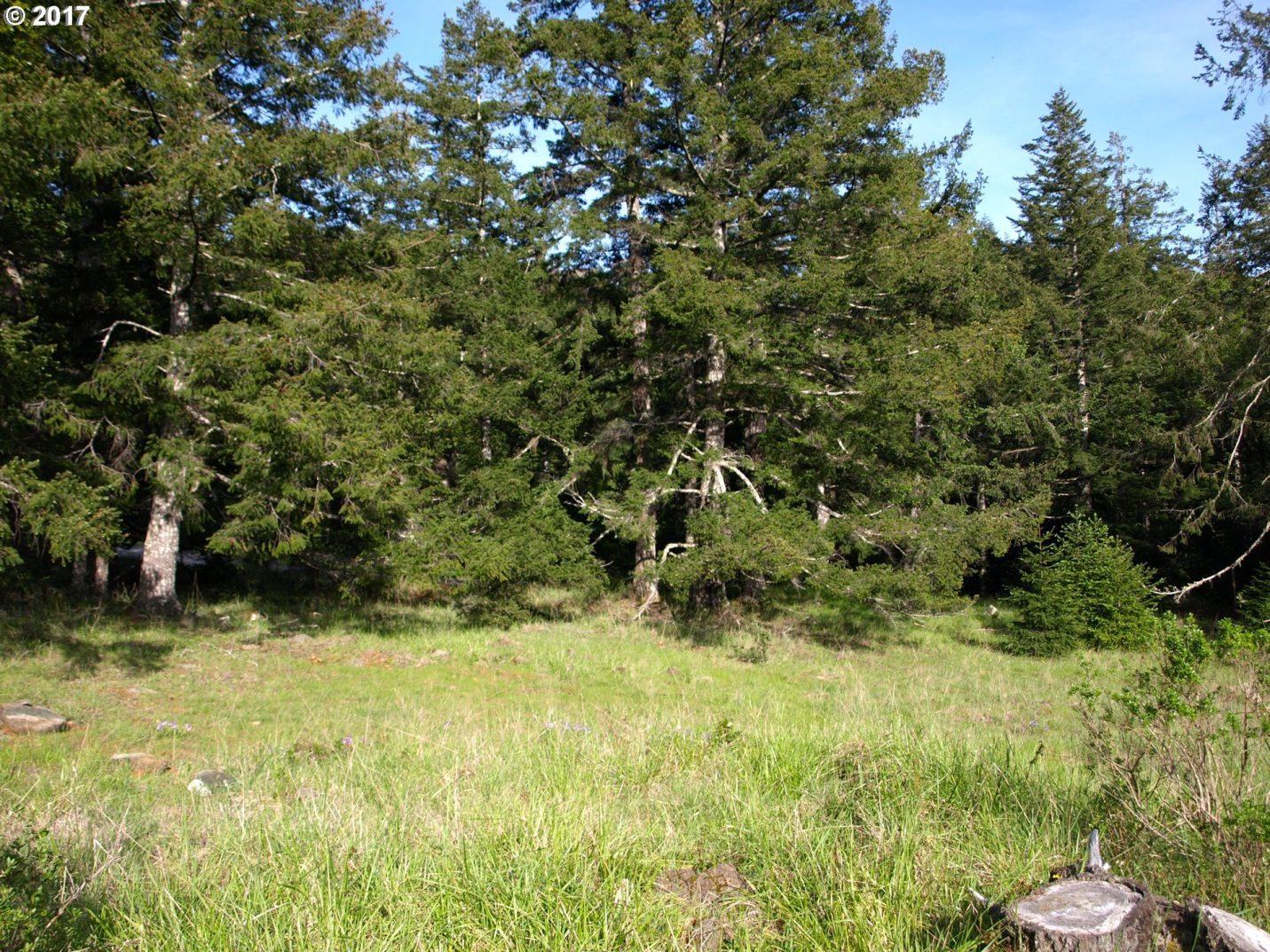 Indian Hills Road Gold Beach, OR 97444 - Photo 14 of 24
