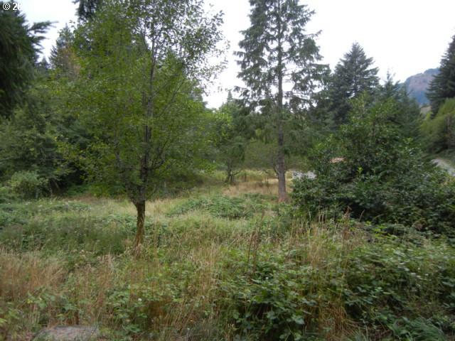31 Winter Creek Road Stevenson, WA 98648 - Photo 11 of 12 Gallery Image 11