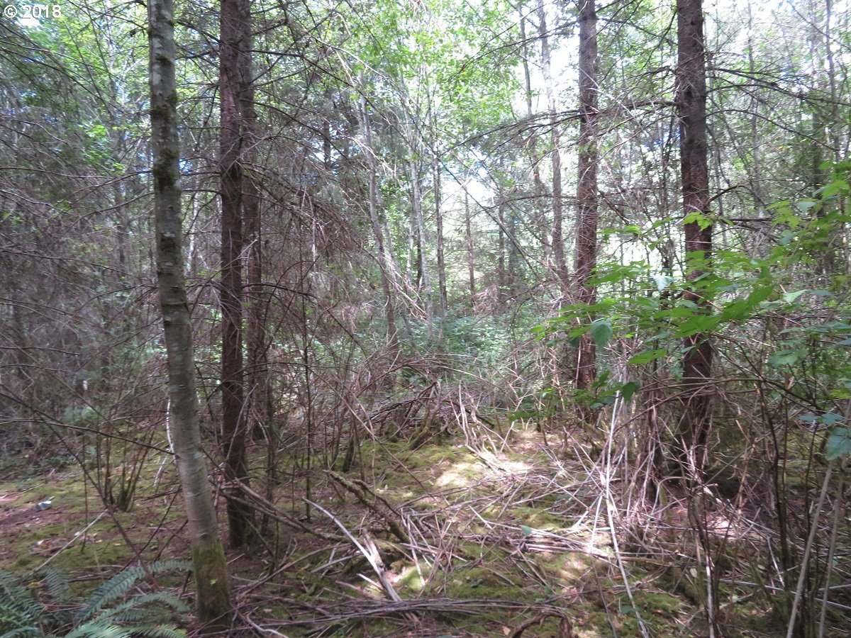 Centralia Alpha Road Chehalis, WA 98532 - Photo 25 of 25 Gallery Image 25