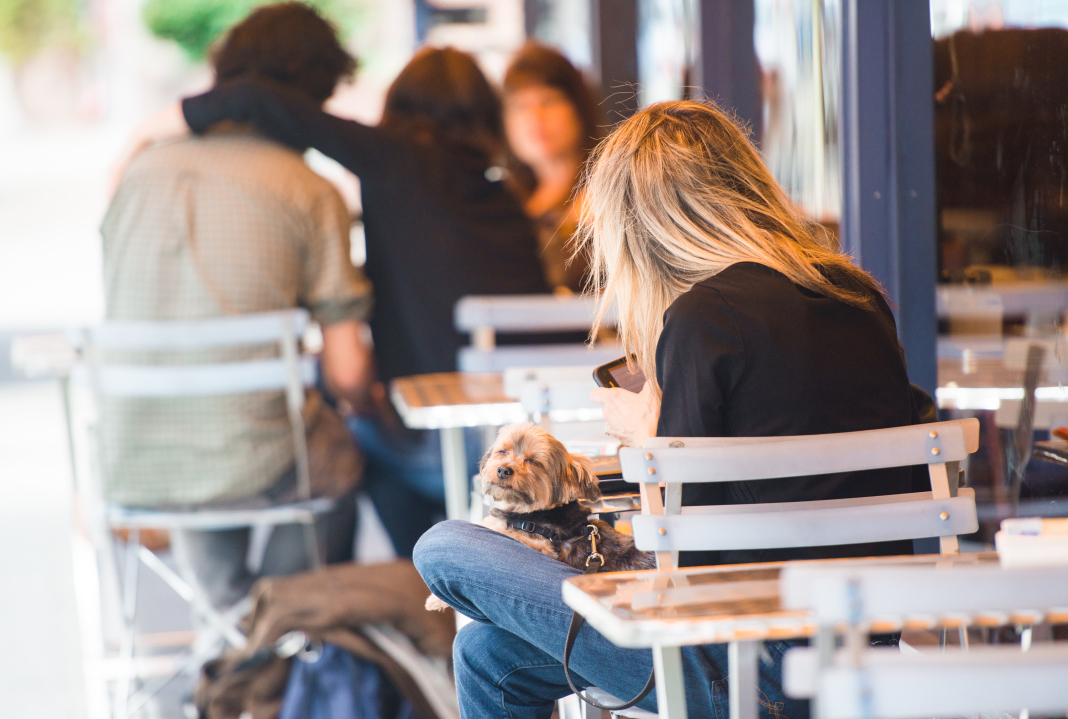 1633 2nd Avenue, Unit 2D Manhattan, NY 10028 - Photo 8 of 11