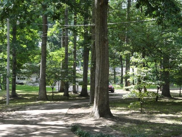 227 Hayes Road Munford, TN 38058 - Photo 3 of 20 Gallery Image 3