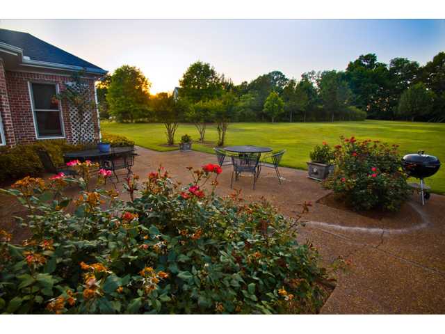 11580 Spring Manor Lane Eads, TN 38028 - Photo 15 of 15 2.25 acre lot! Pool time, anyone? Perfect for family get togethers or just enjoying nature!