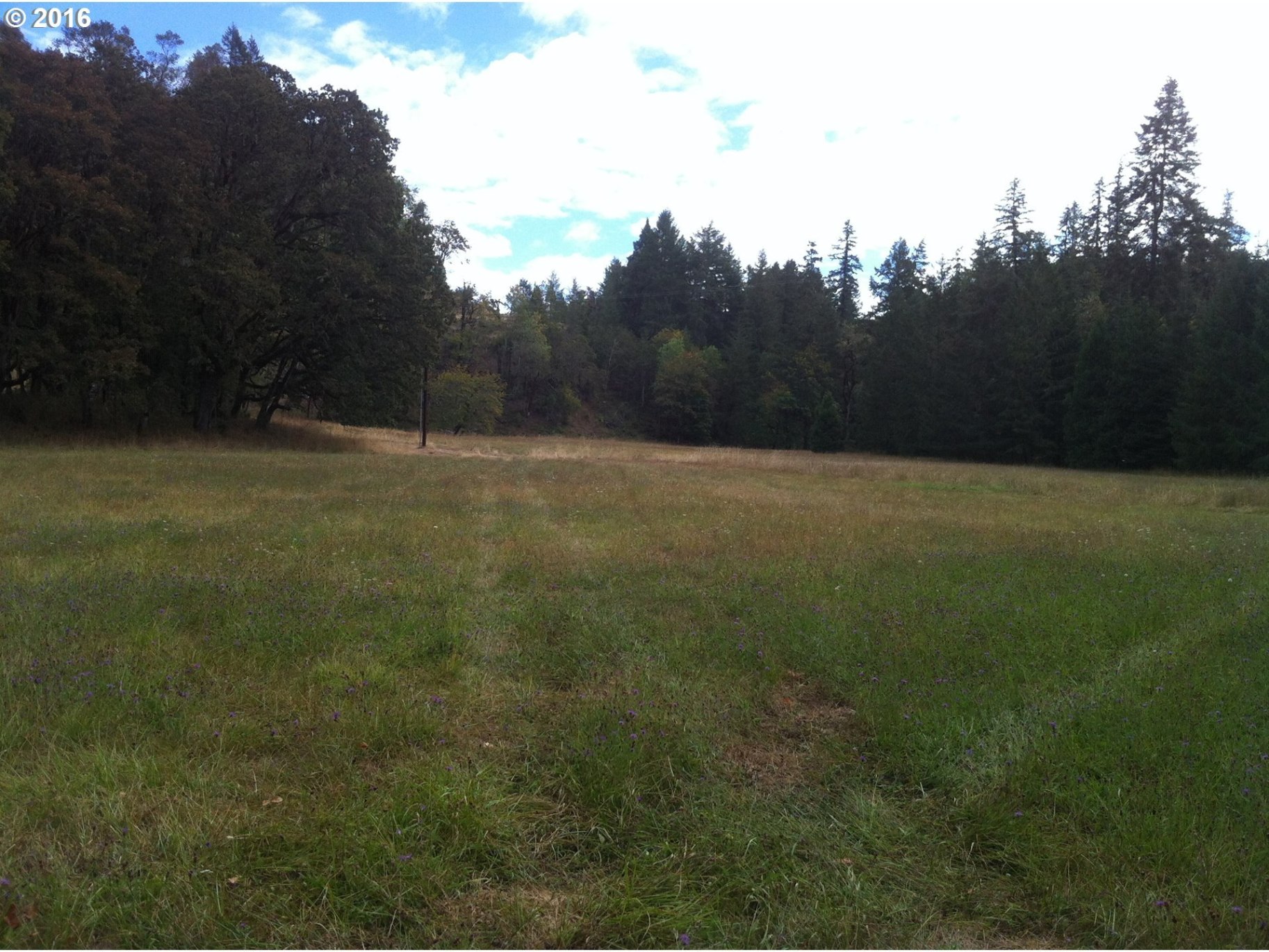 12942 Driver Valley Road Oakland, OR 97462 - Photo 29 of 31