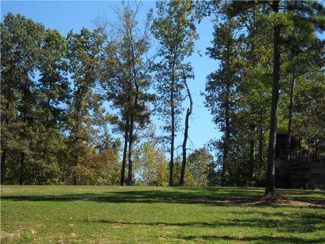 1684 Nelson Store Road Selmer, TN 38375 - Photo 9 of 12 Gallery Image 9