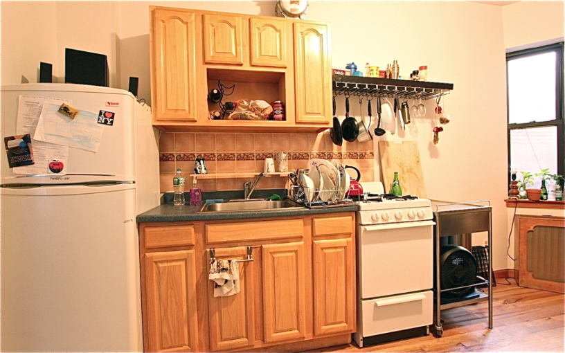 97 Pitt Street, Unit 12 Manhattan, NY 10002 - Photo 4 of 5