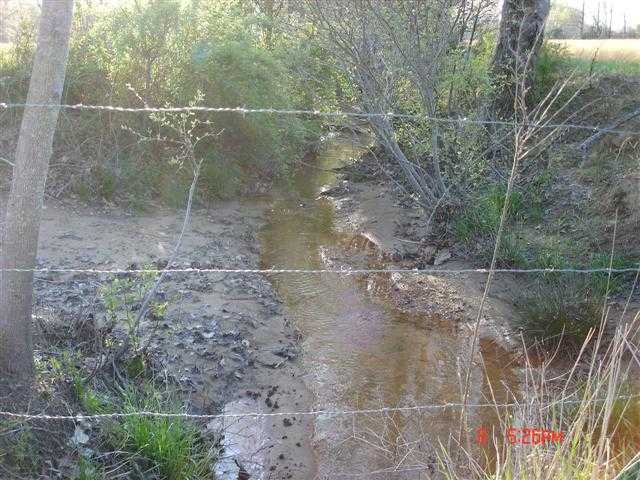 2406 Blunt Road Decaturville, TN 38329 - Photo 6 of 10 Year round Creek