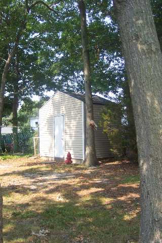 655 7th Street Somers Point, NJ 08244 - Photo 3 of 3 Gallery Image 3