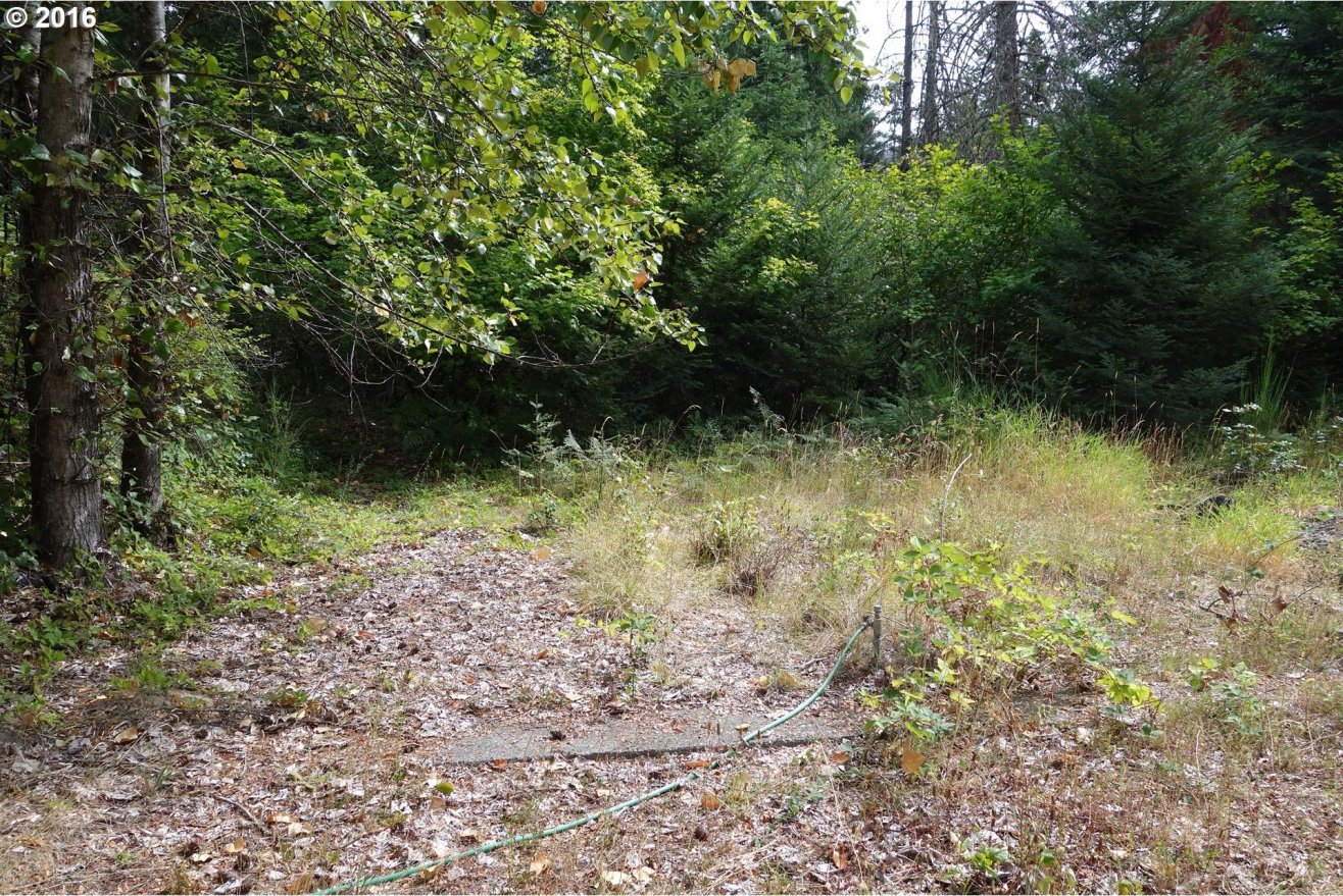 112 Hendryx Road White Salmon, WA 98672 - Photo 11 of 20 Gallery Image 11