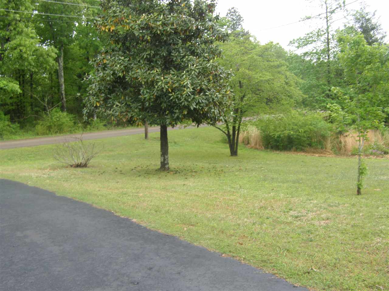 2107 Ode Moore Road Michie, TN 38357 - Photo 3 of 19 Gallery Image 3