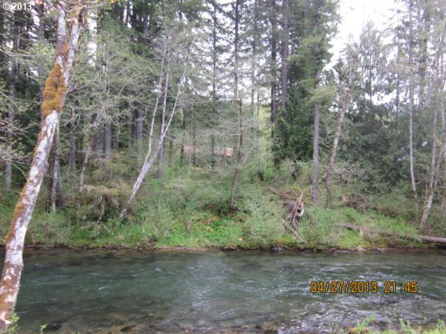 Old Blaidsdell Road Carson, WA 98610 - Photo 2 of 6 Gallery Image 2