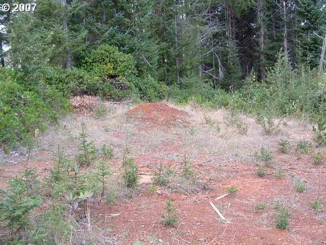 Dotson Brookings, OR 97415 - Photo 4 of 10 Gallery Image 4