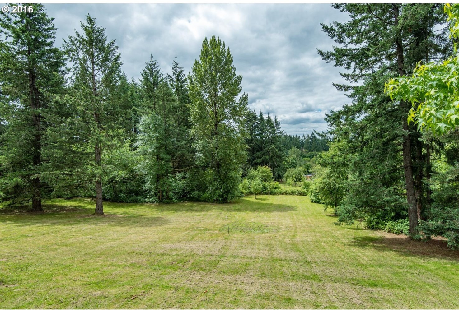 11425 Northwest Plainview Road Portland, OR 97231 - Photo 15 of 19