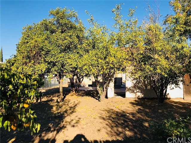 7628 Freda Avenue Riverside, CA 92504 - Photo 9 of 20