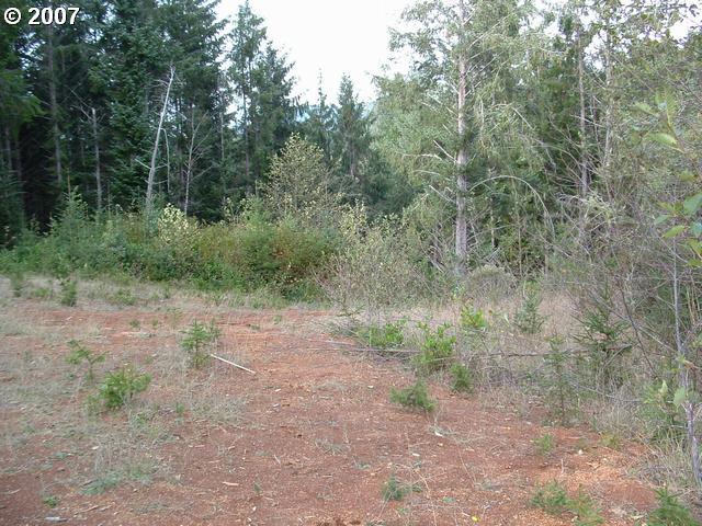Dotson Brookings, OR 97415 - Photo 3 of 10 Gallery Image 3