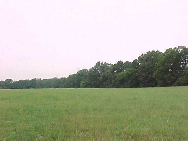 5 Brunswick Road Arlington, TN 38053 - Photo 1 of 1 Gallery Image 1