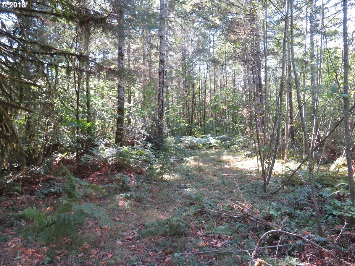 East Thomas Road Grapeview, WA 98546 - Photo 15 of 32 Gallery Image 15