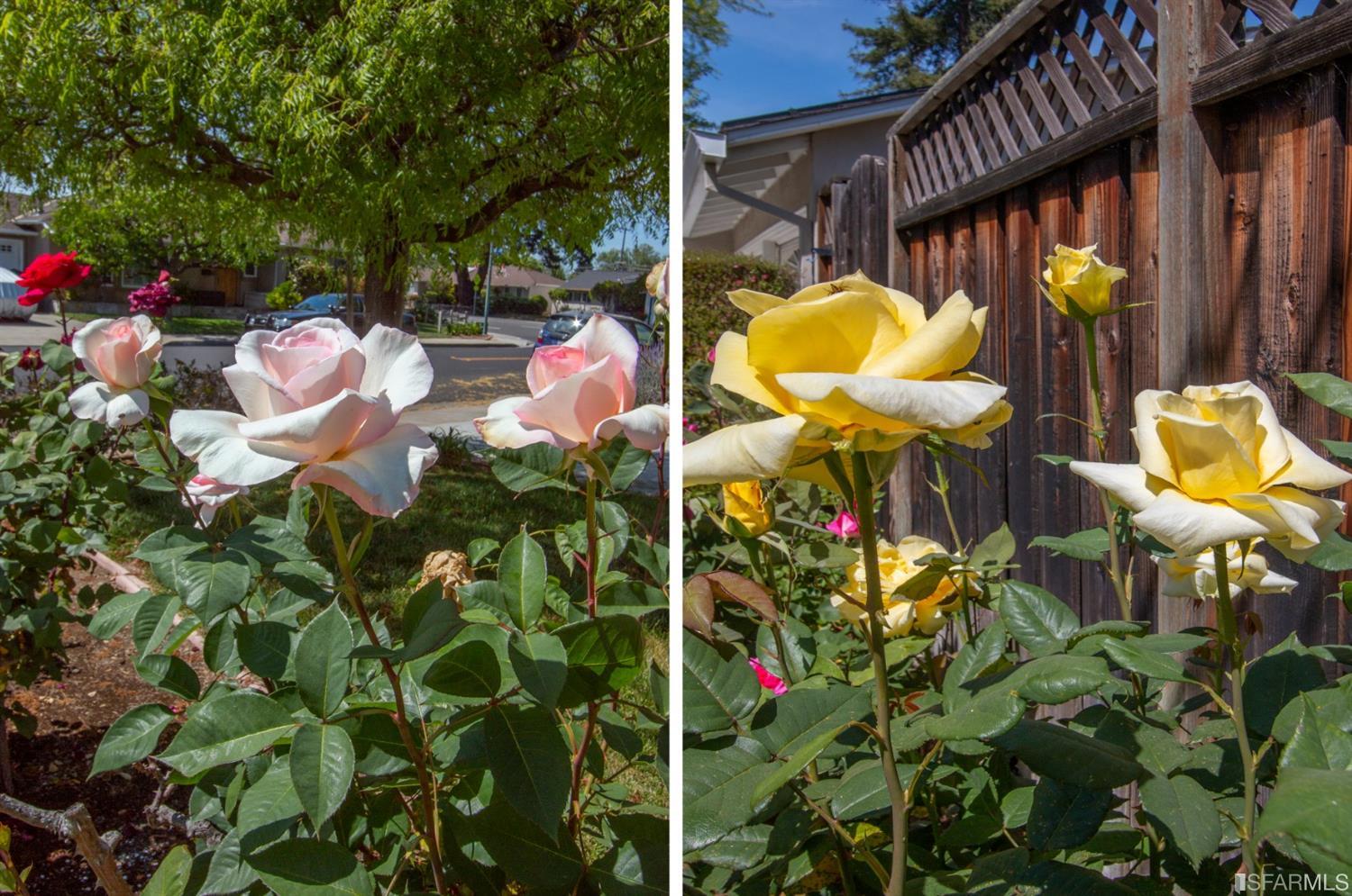 1719 Cherrytree Lane Mountain View, CA 94040 - Photo 31 of 31