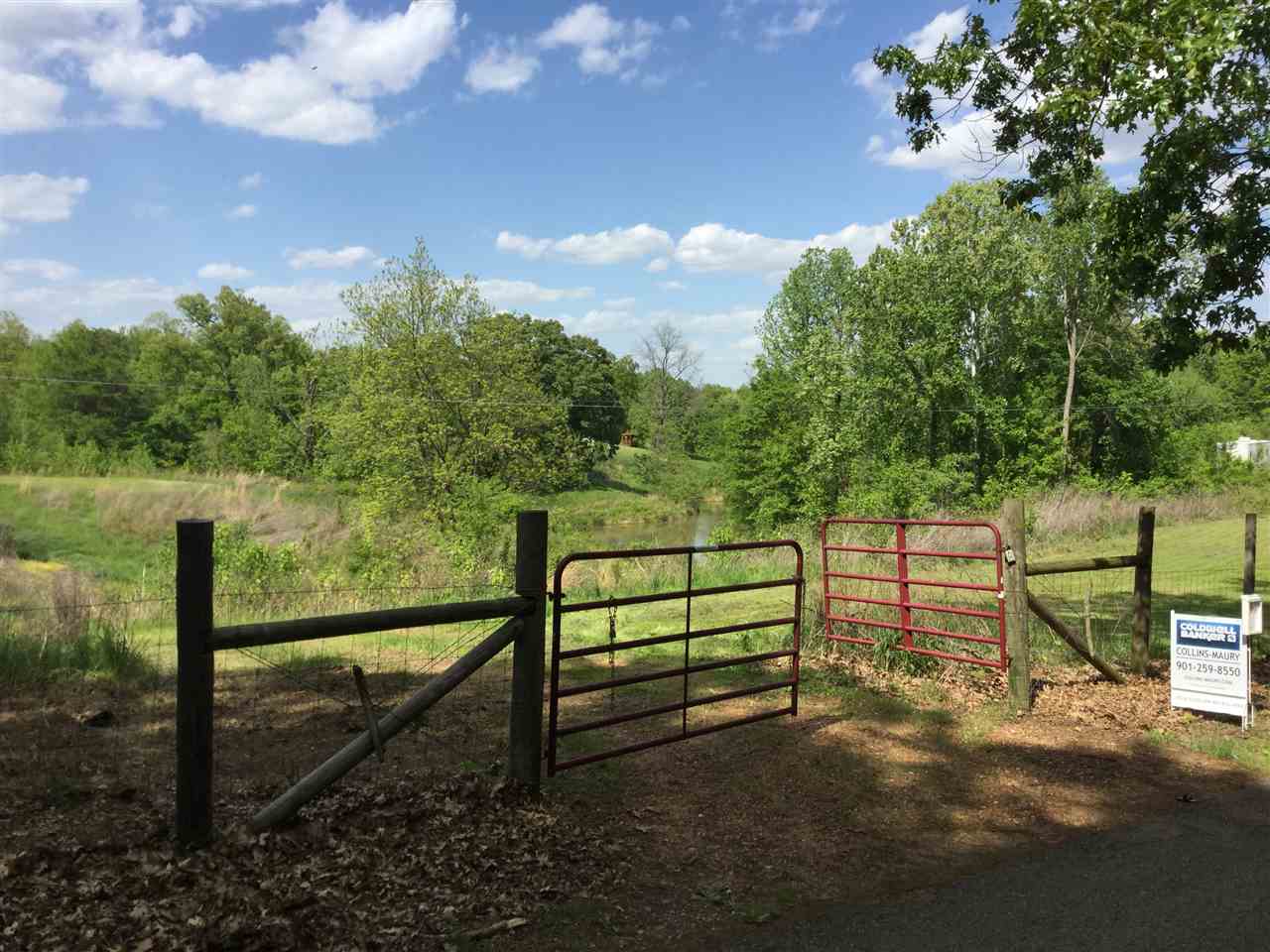 254 Russell Road Drummonds, TN 38023 - Photo 12 of 14 Gallery Image 12
