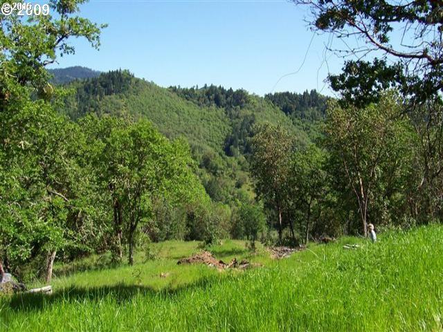 1374 Clarks Branch Road Myrtle Creek, OR 97457 - Photo 6 of 7 Gallery Image 6