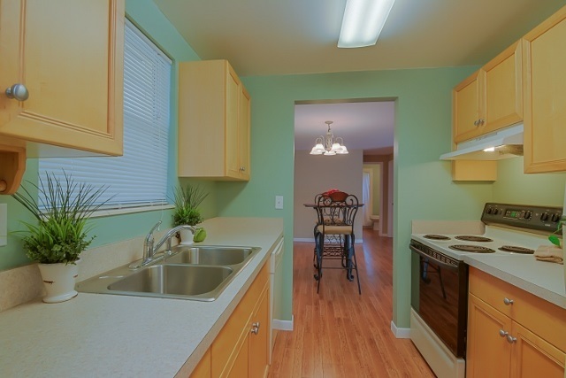 290 Almansa Road St. Augustine, FL 32086 - Photo 3 of 41 Gallery Image 3
