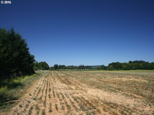 Boones Ferry Road Aurora, OR 97002 - Photo 6 of 12 Gallery Image 6