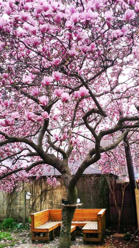 664 Rugby Road Brooklyn, NY 11230 - Photo 17 of 19