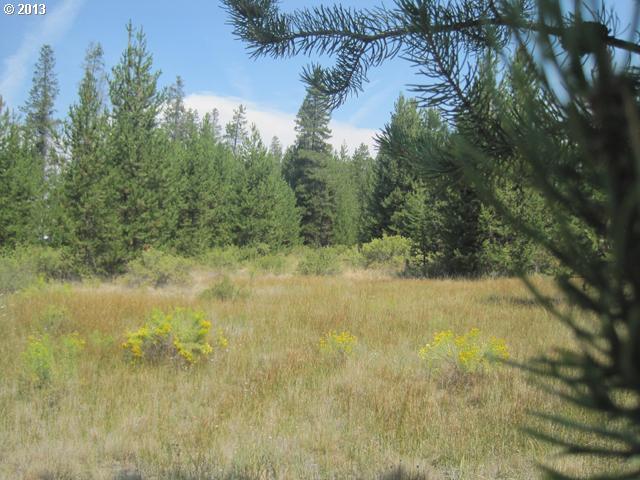 17700 Old Wood Road Bend, OR 97707 - Photo 6 of 11 Gallery Image 6