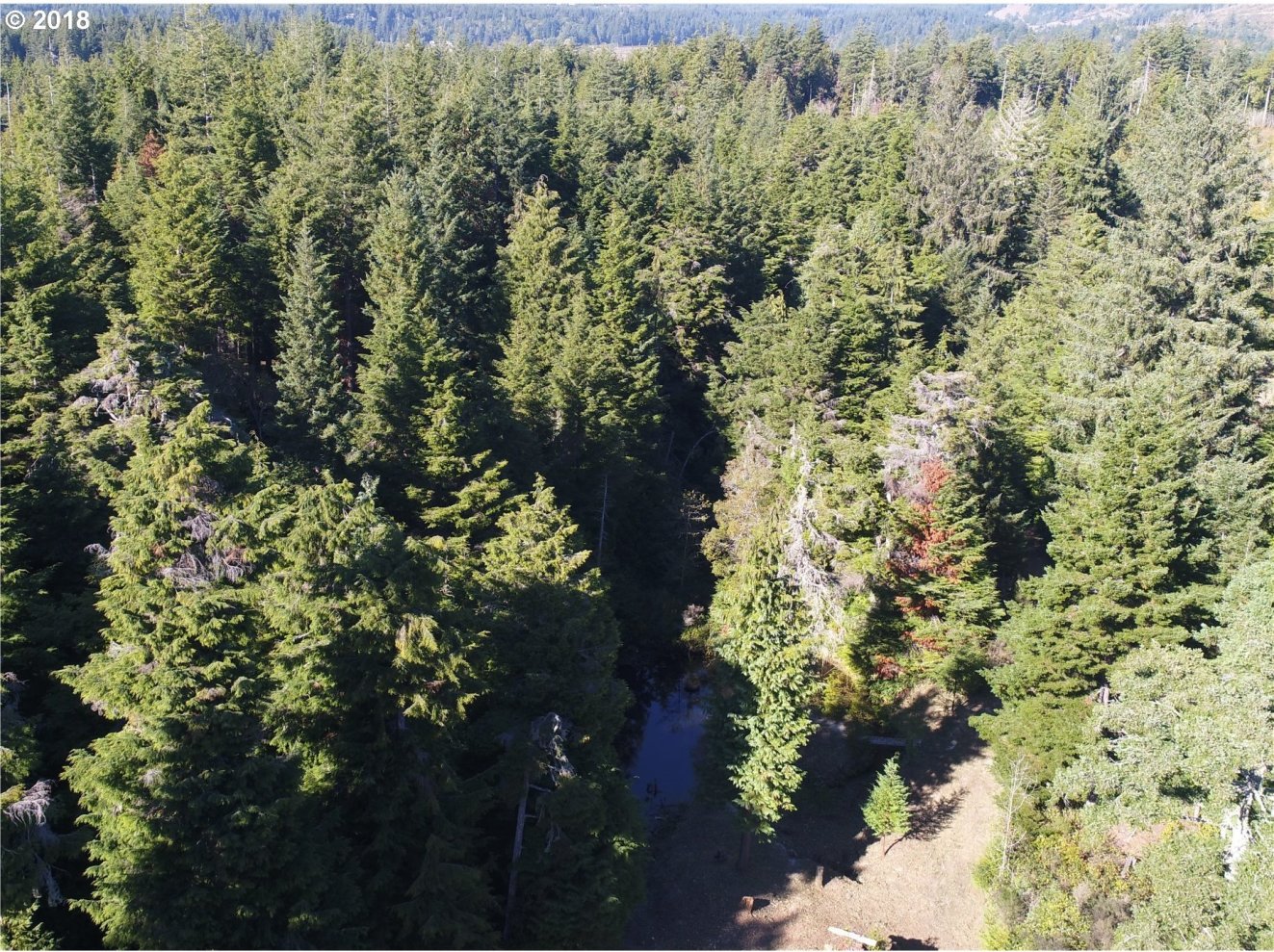 56534 Tom Smith Road Bandon, OR 97411 - Photo 20 of 28 Gallery Image 20