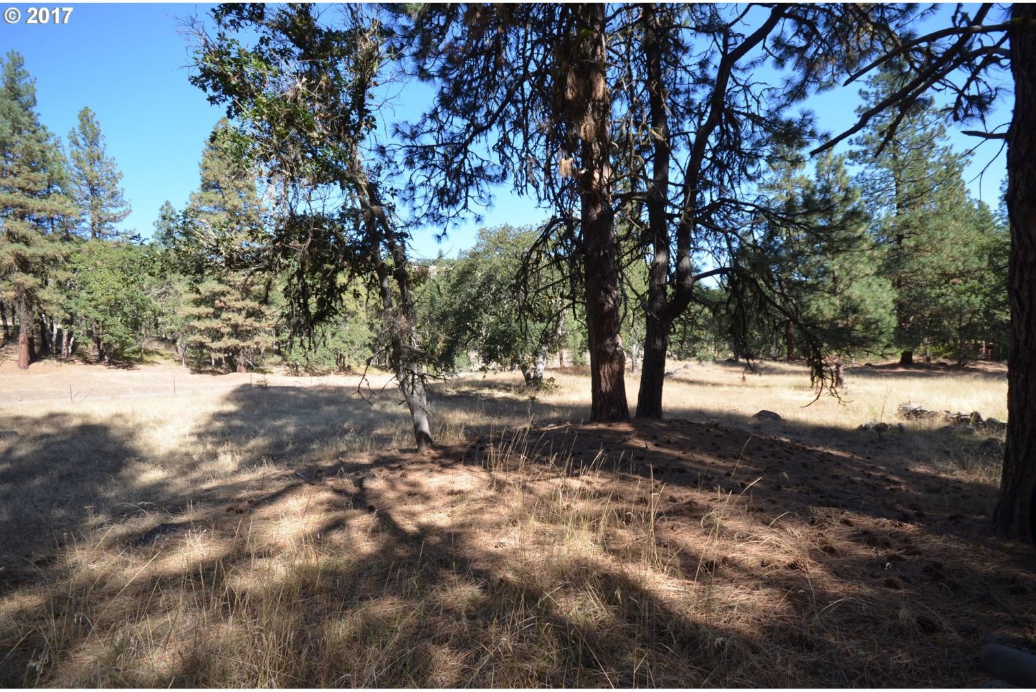 6900 Upper 5 Mile Road The Dalles, OR 97058 - Photo 13 of 32 Gallery Image 13