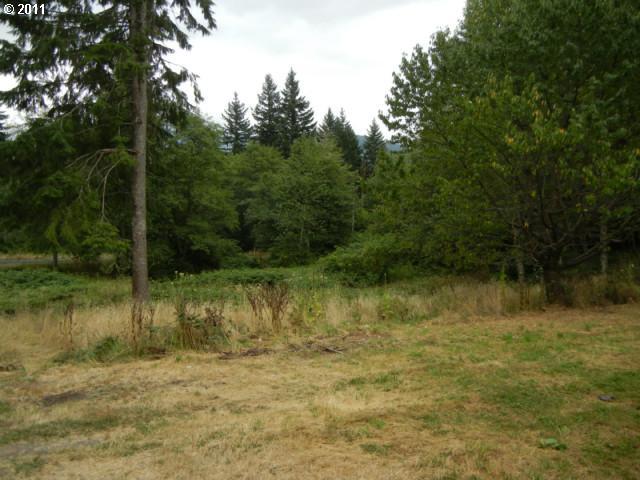 31 Winter Creek Road Stevenson, WA 98648 - Photo 4 of 12 Gallery Image 4