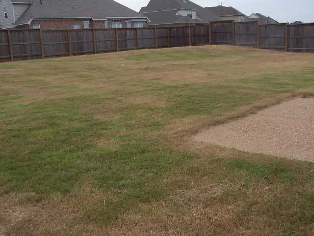 39 Windsor Road Memphis, TN 38109 - Photo 6 of 7 Back yard