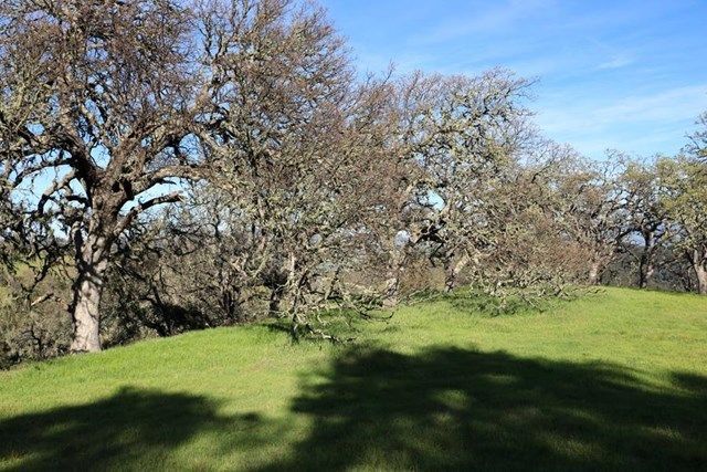 $695,000 | 5 Black Mountain, Carmel, CA 93923