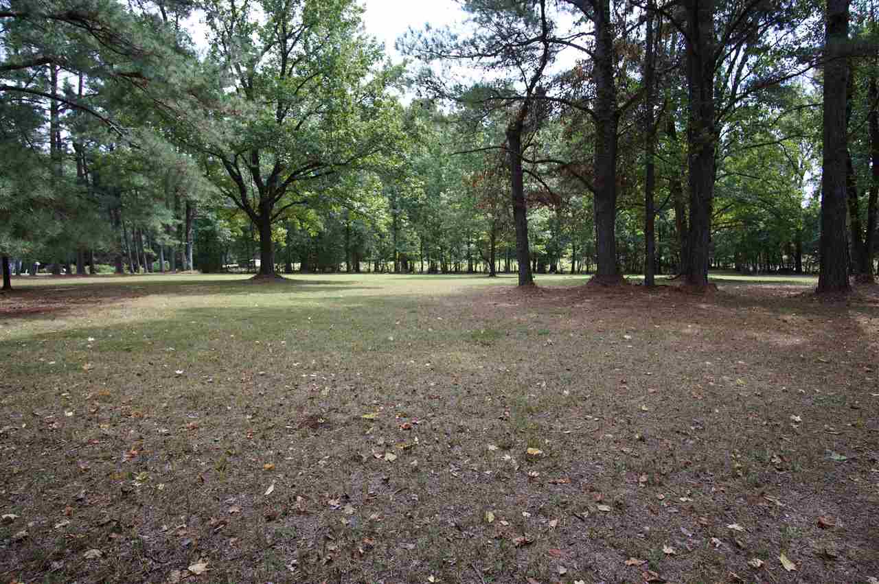 2406 George R James Road Eads, TN 38028 - Photo 8 of 21 Gallery Image 8