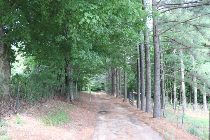 1927 Arp Central Road Ripley, TN 38063 - Photo 6 of 25