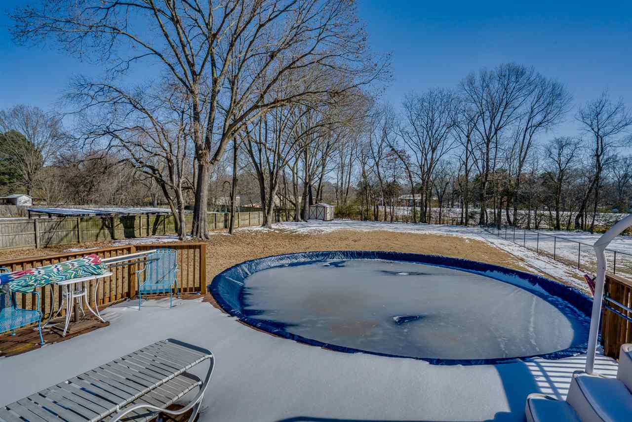 3990 Fonta Road Bartlett, TN 38002 - Photo 21 of 25 Nice above ground pool.