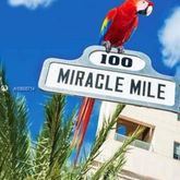 $2,800 | Central Gables, Coral Gables, FL 33134