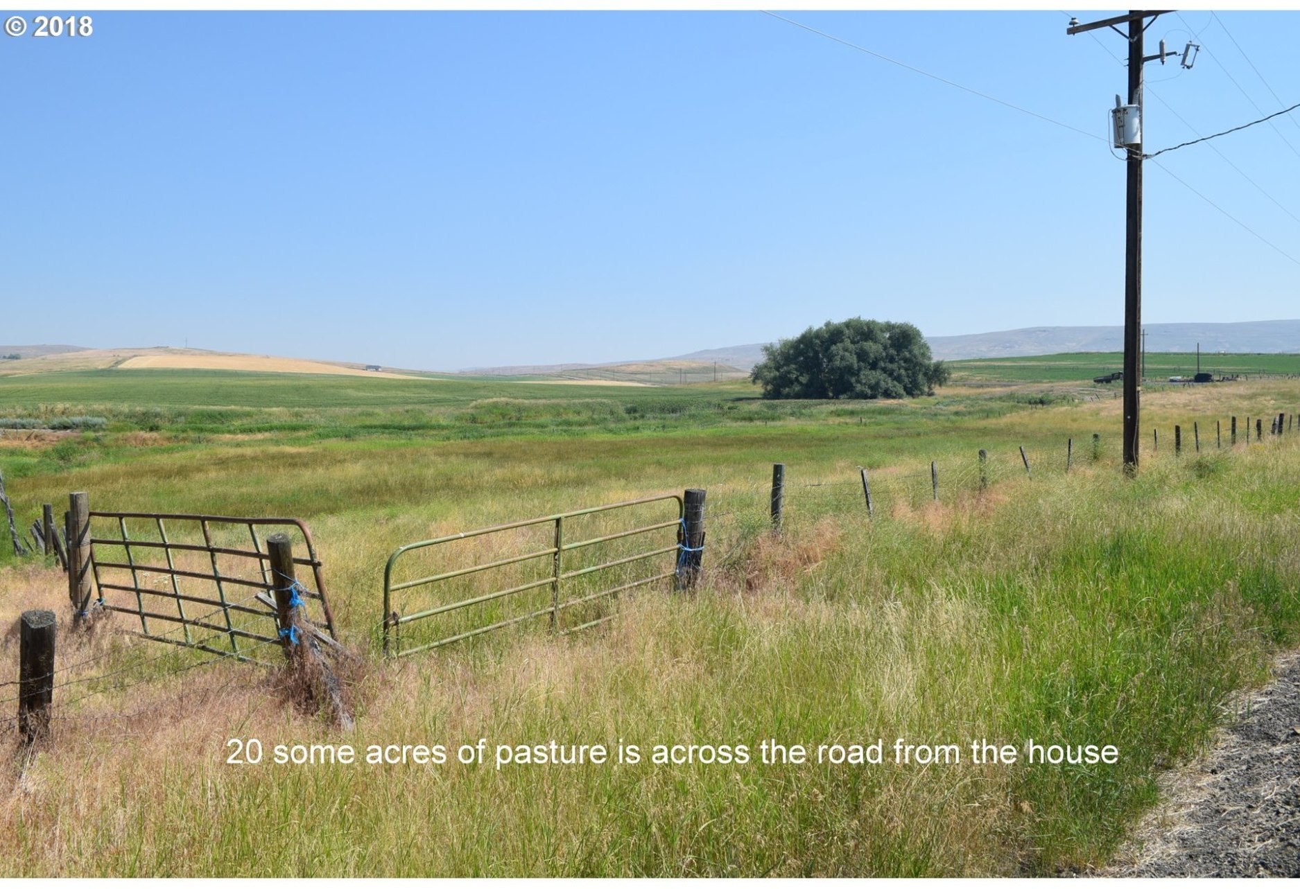65765 Elk Mountain Road Enterprise, OR 97828 - Photo 23 of 32 Gallery Image 23