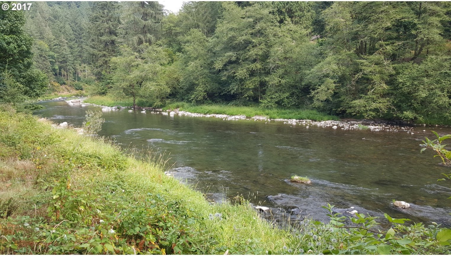 2457 Kalama River Road Kalama, WA 98625 - Photo 5 of 25 Gallery Image 5