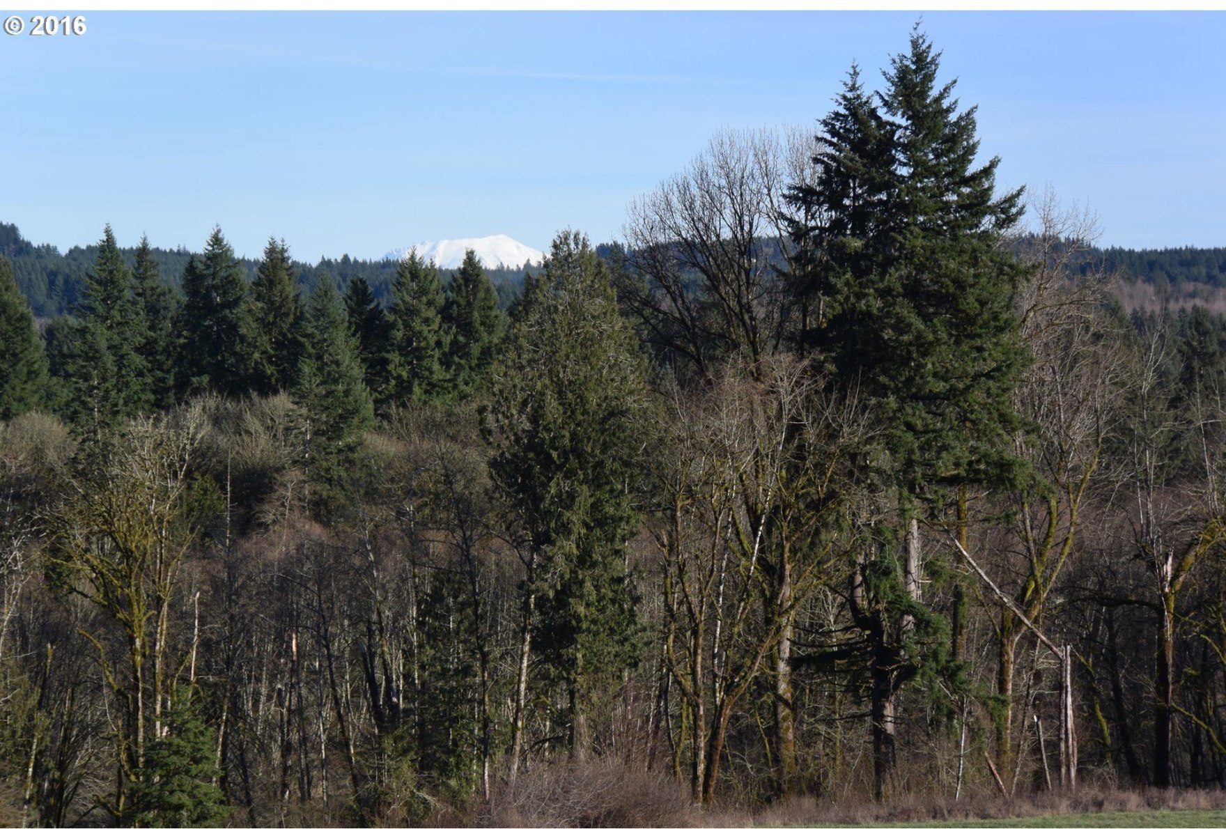 Chapman Road Castle Rock, WA 98611 - Photo 3 of 15 Gallery Image 3