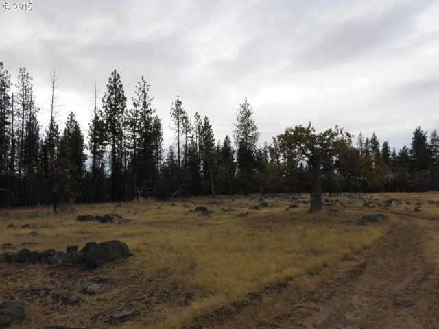 England Drive Goldendale, WA 98620 - Photo 4 of 13