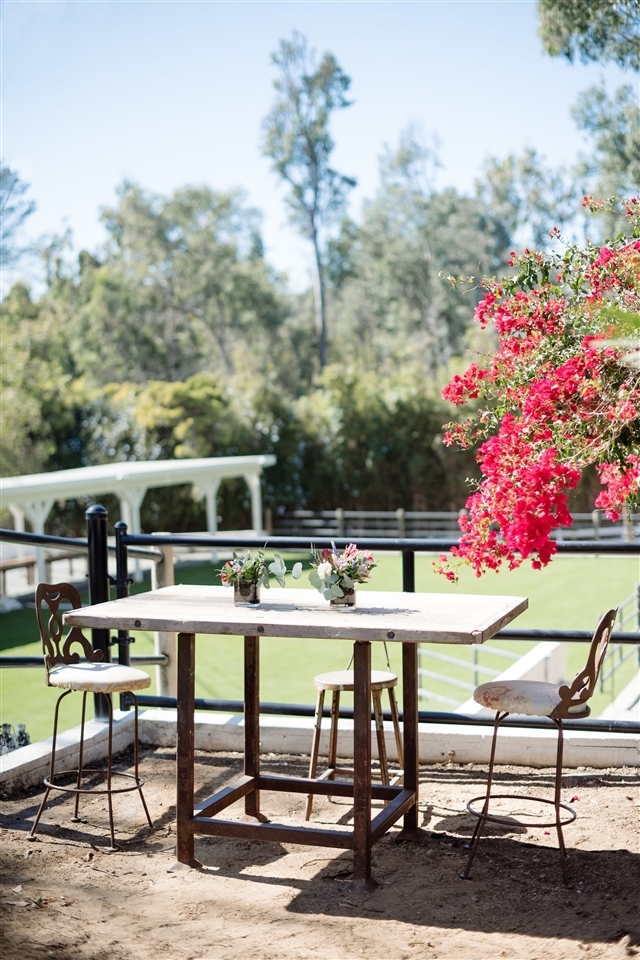 4763 Sun Valley Road Del Mar, CA 92014 - Photo 23 of 25 Arena