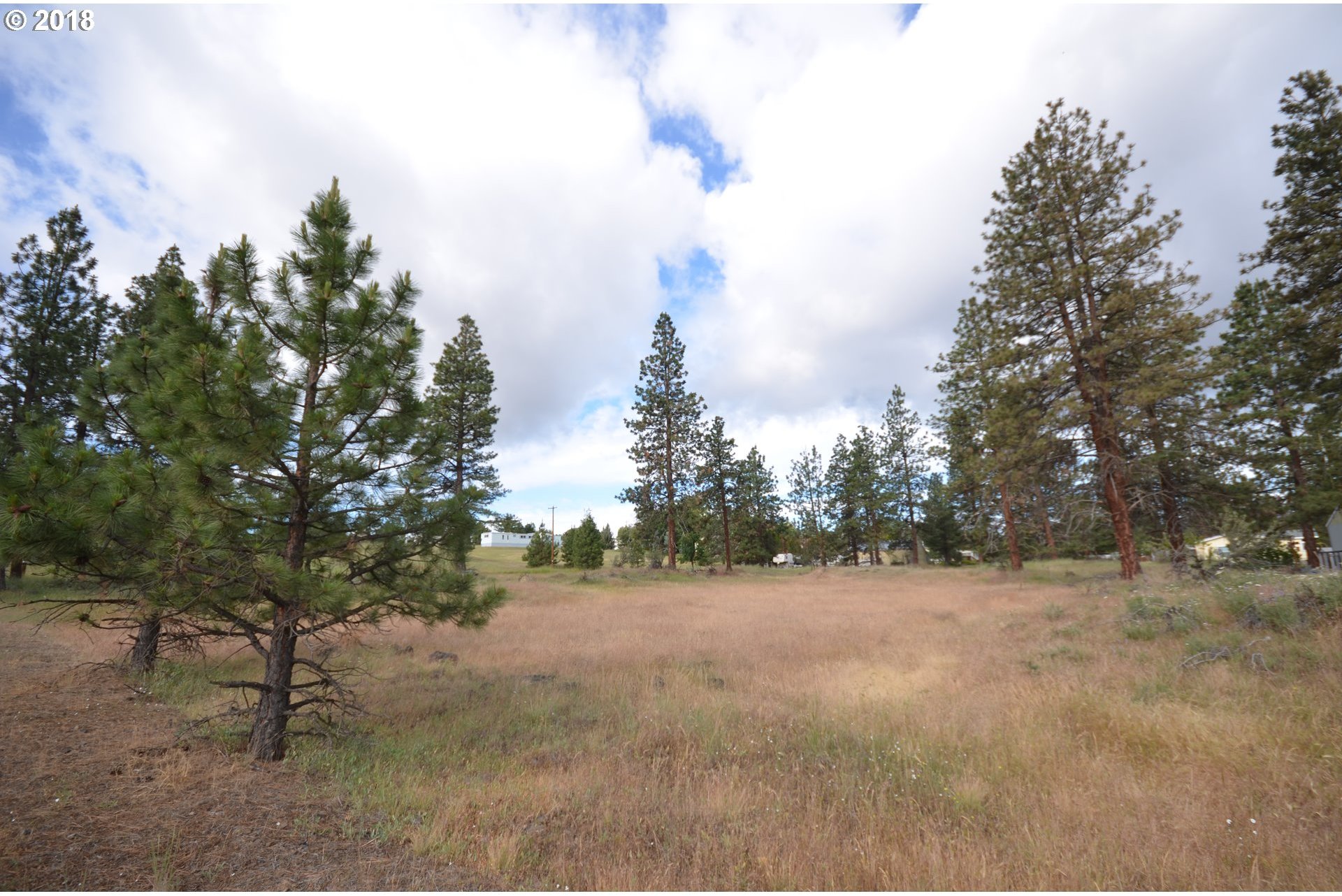 243 South Mike Road Tygh Valley, OR 97063 - Photo 10 of 18 Gallery Image 10